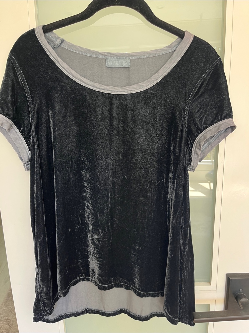 CP Shades Black Velvet Short-Sleeve Top with Gray Trim